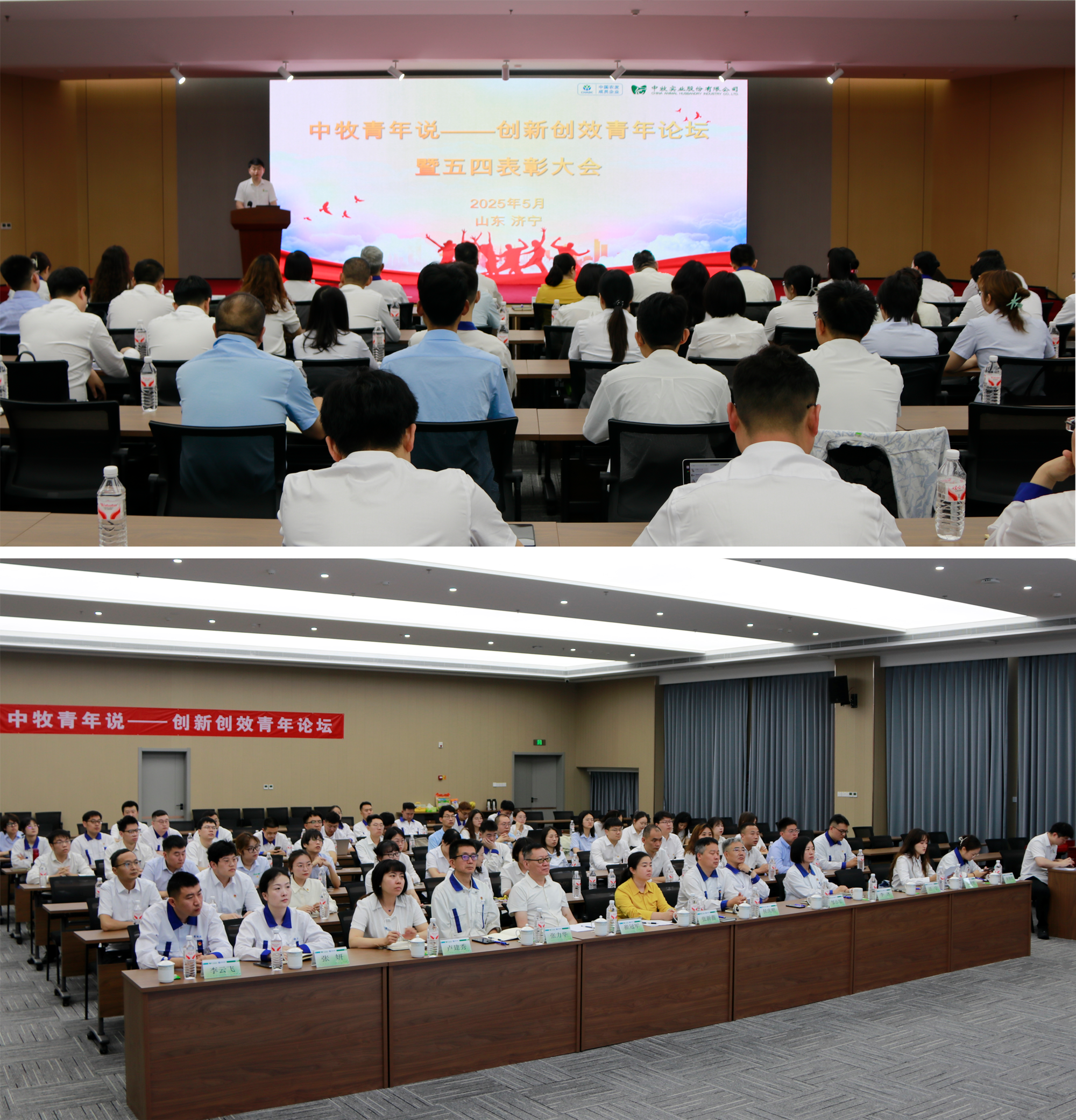 图1.png 图1.png