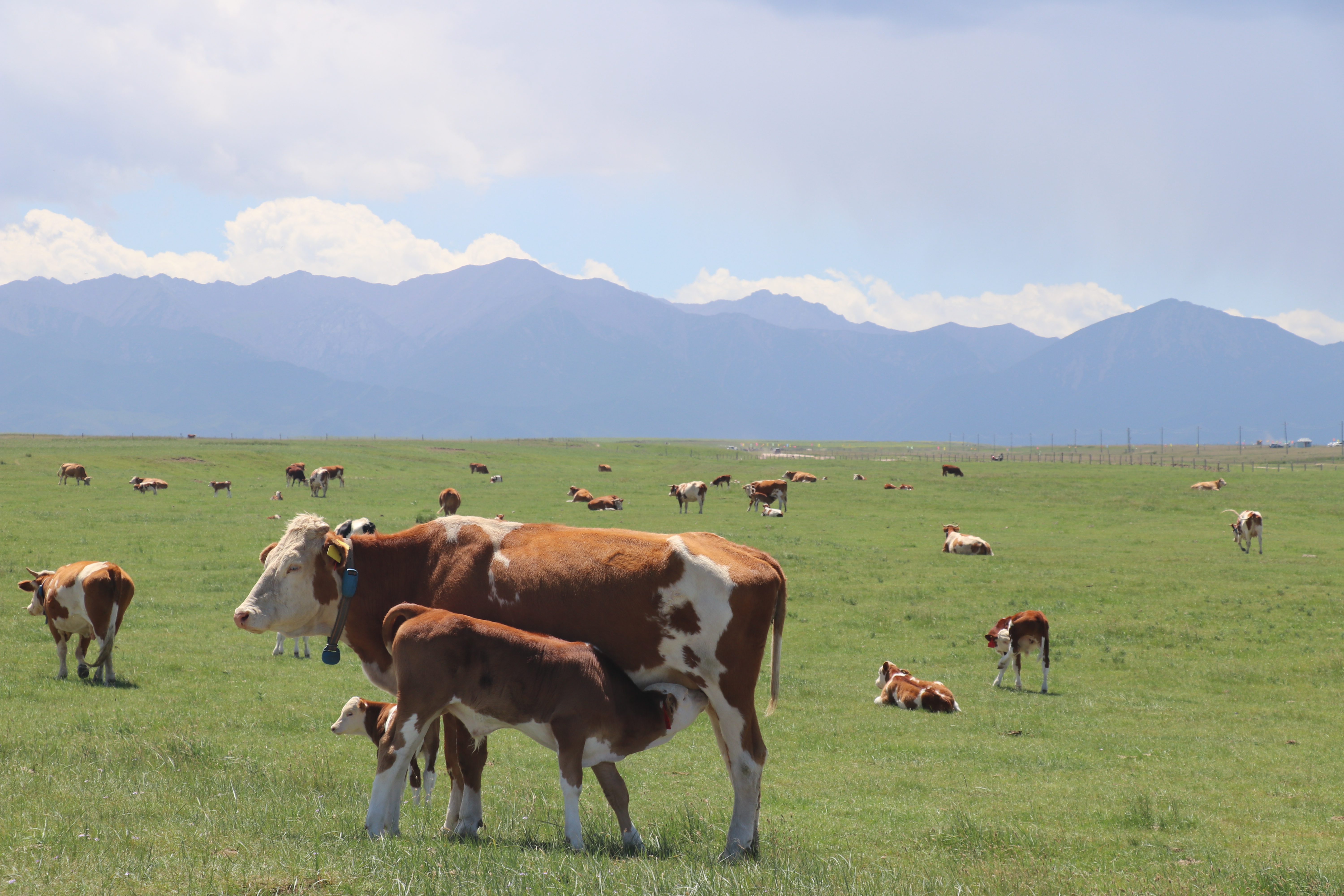 第二张.jpg 第二张.jpg