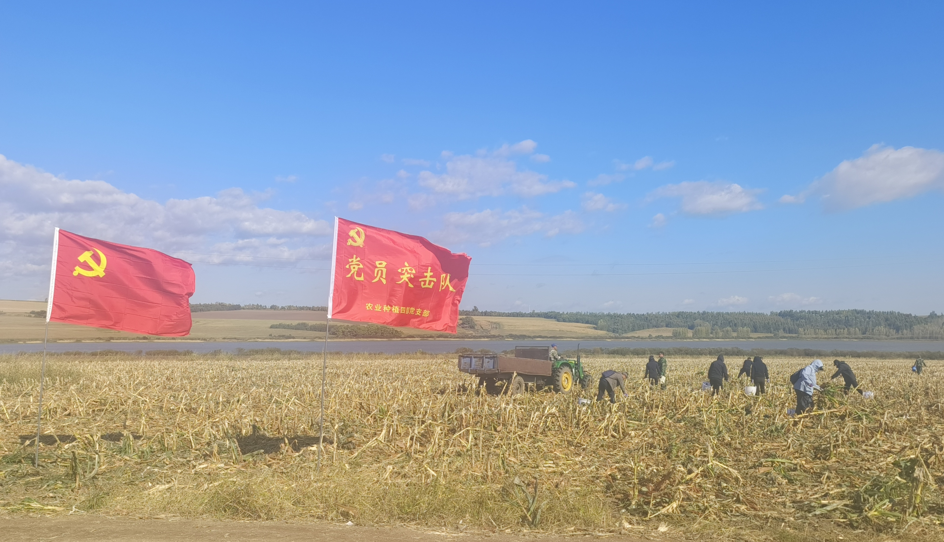 图片8.png 图片8.png